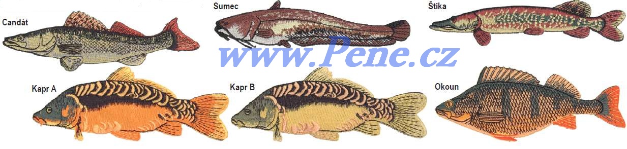 Rybáøská nášivka s rybou menší 9 cm - zvìtšit obrázek