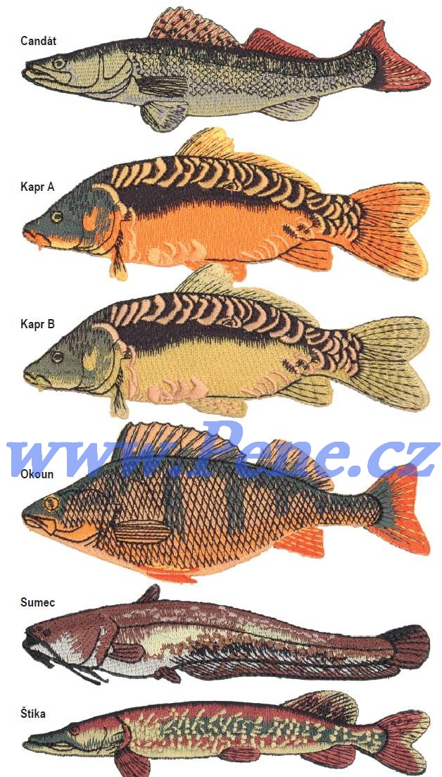 JSA fish Rybářská nášivka s rybou větší 13 cm Okoun
